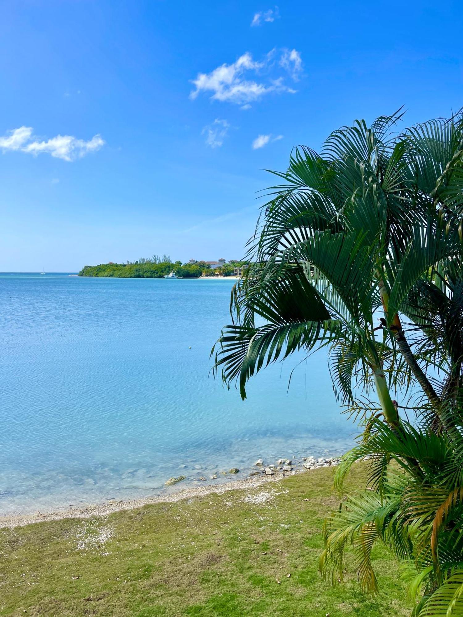 Luxury Apartments And Rooms,The Lagoons モンテゴ・ベイ エクステリア 写真